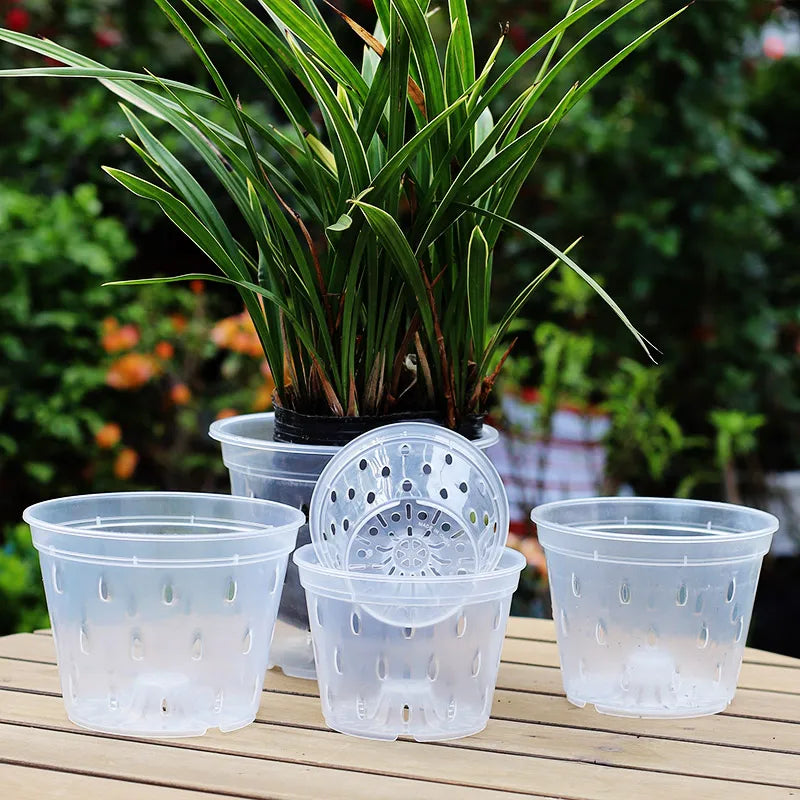 5PCS Transparent Orchid Pots