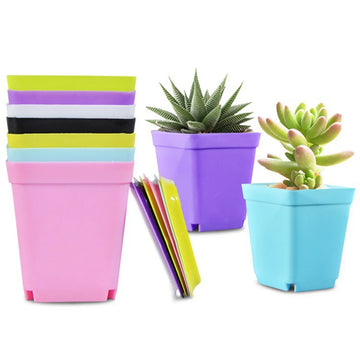 10PCS Mini Square Pots