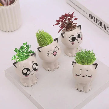 Cute Cat Ceramic Succulent Pot