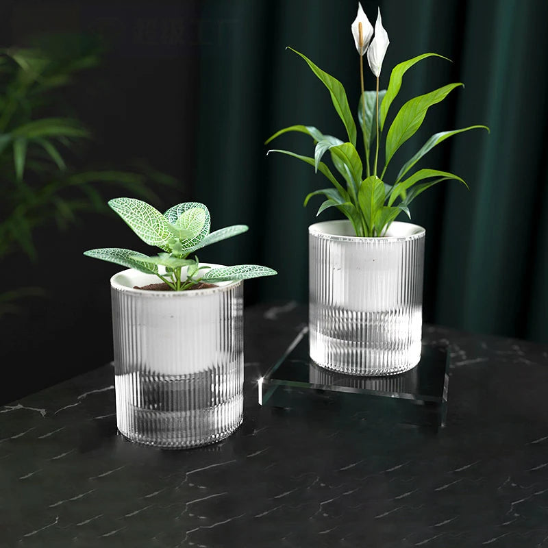 Self-Watering Hydroponic Mini Planter