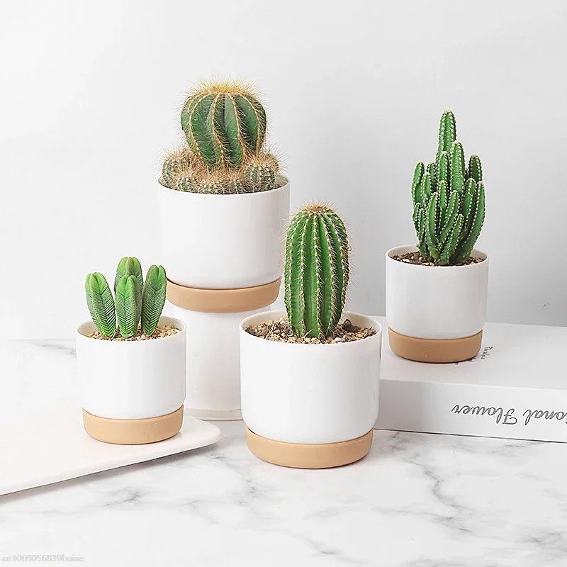 Imitation Ceramic Succulent Planter