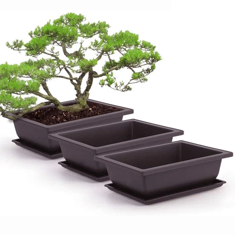 Imitation Purple Clay Planters